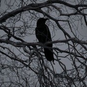 катя попова